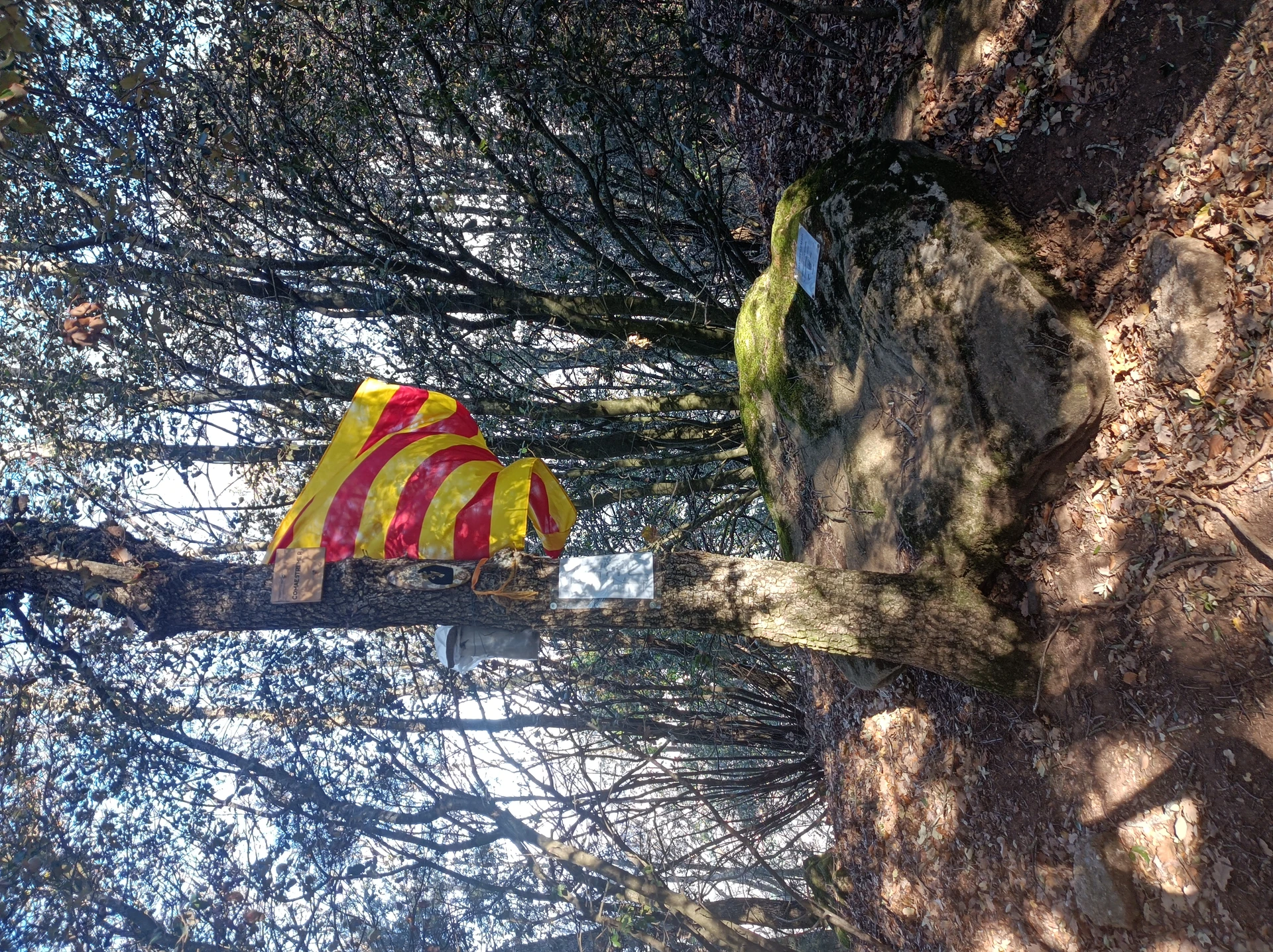 Comaestremer i Rocacorba