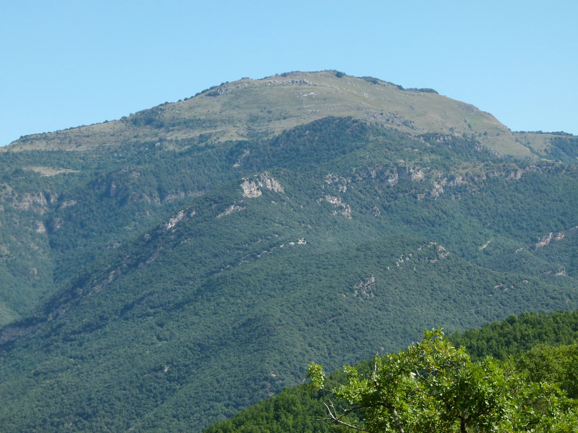 Comanegra (100 Cims FEEC esencial) - Puig Antic - Puig de les Bruixes (100 Cims FEEC) - Puig de Sant Marc