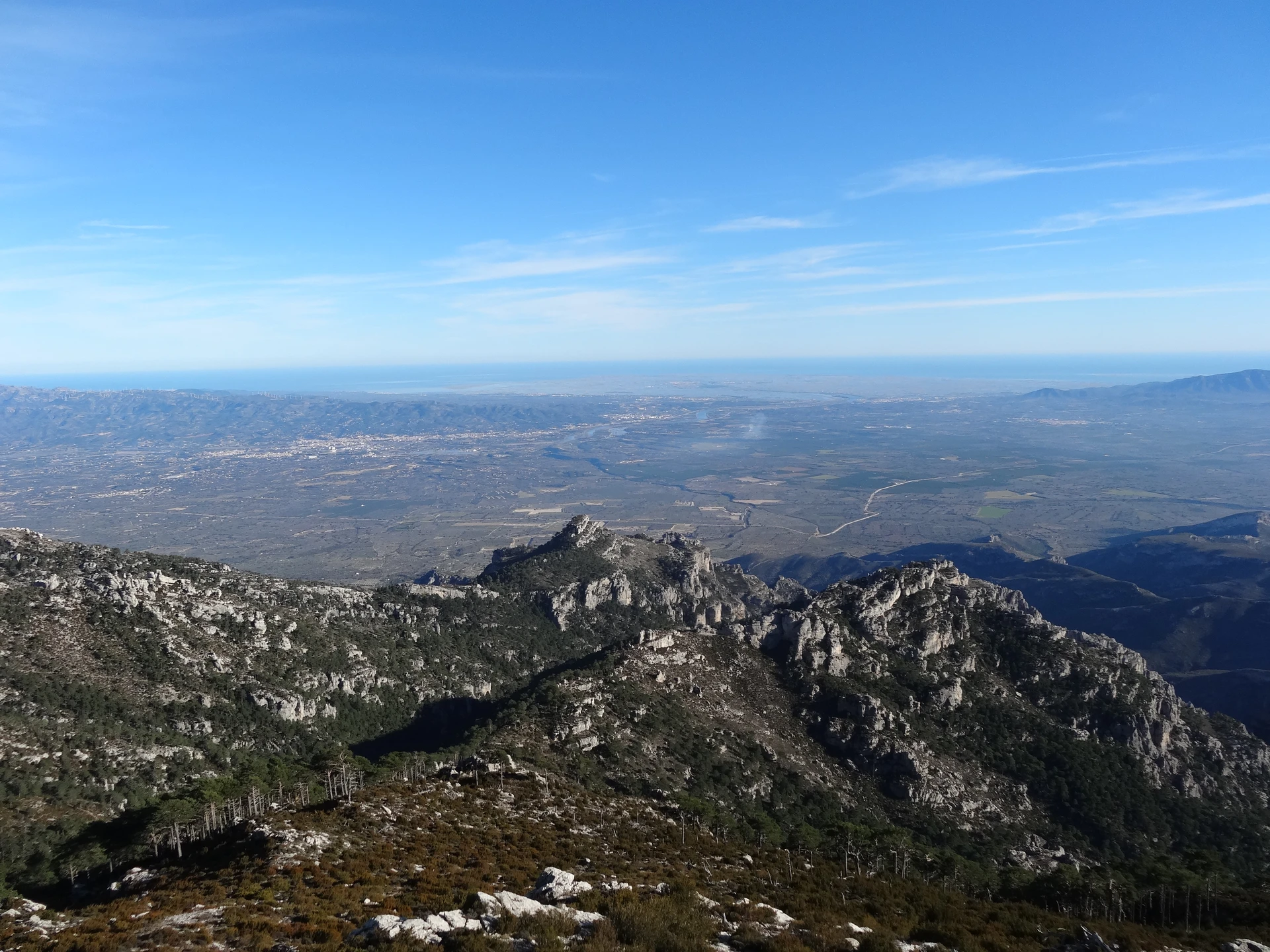 Montcaro clàssica