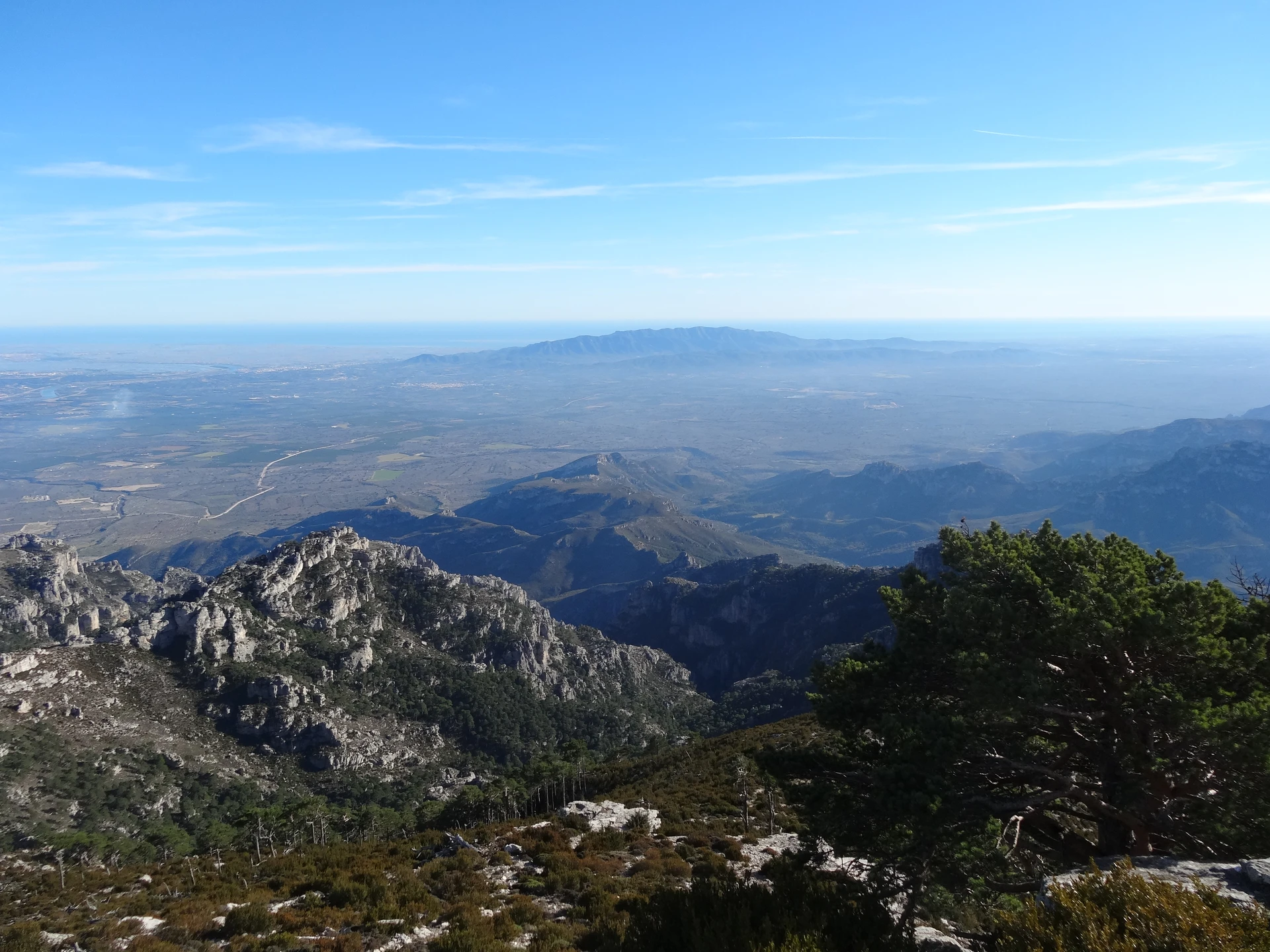 Montcaro clàssica