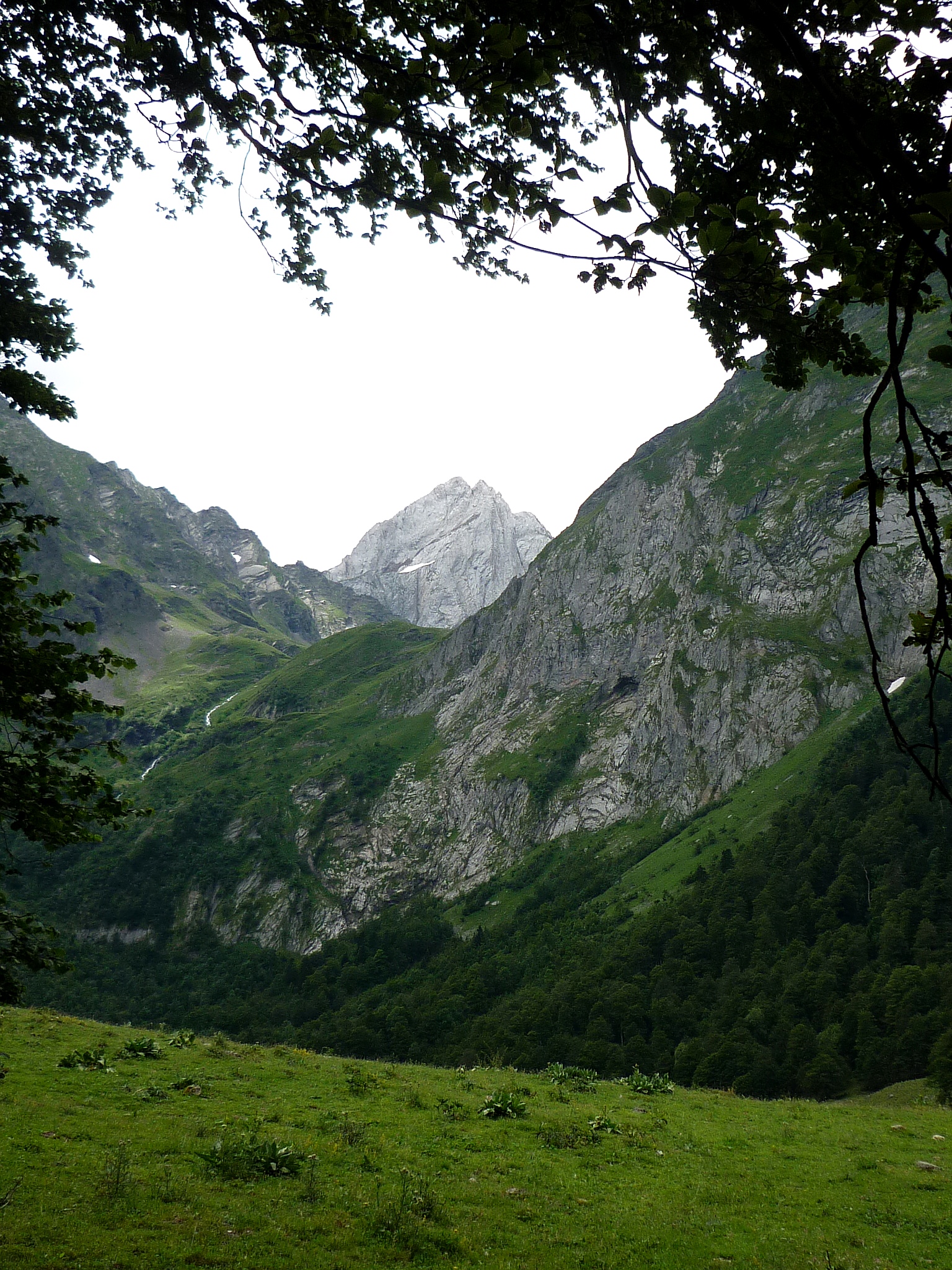 Isidre blanc - Era Forcanada o el Malh des Pois treu el cap per sobre els Clots de l'Infern. Des dels plans de l'Artiga de Lin (Vall d'Aran)