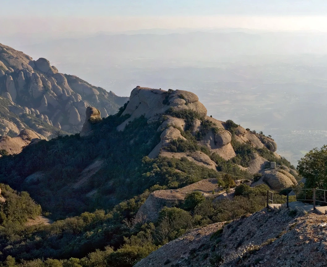 l'Albarda Castellana