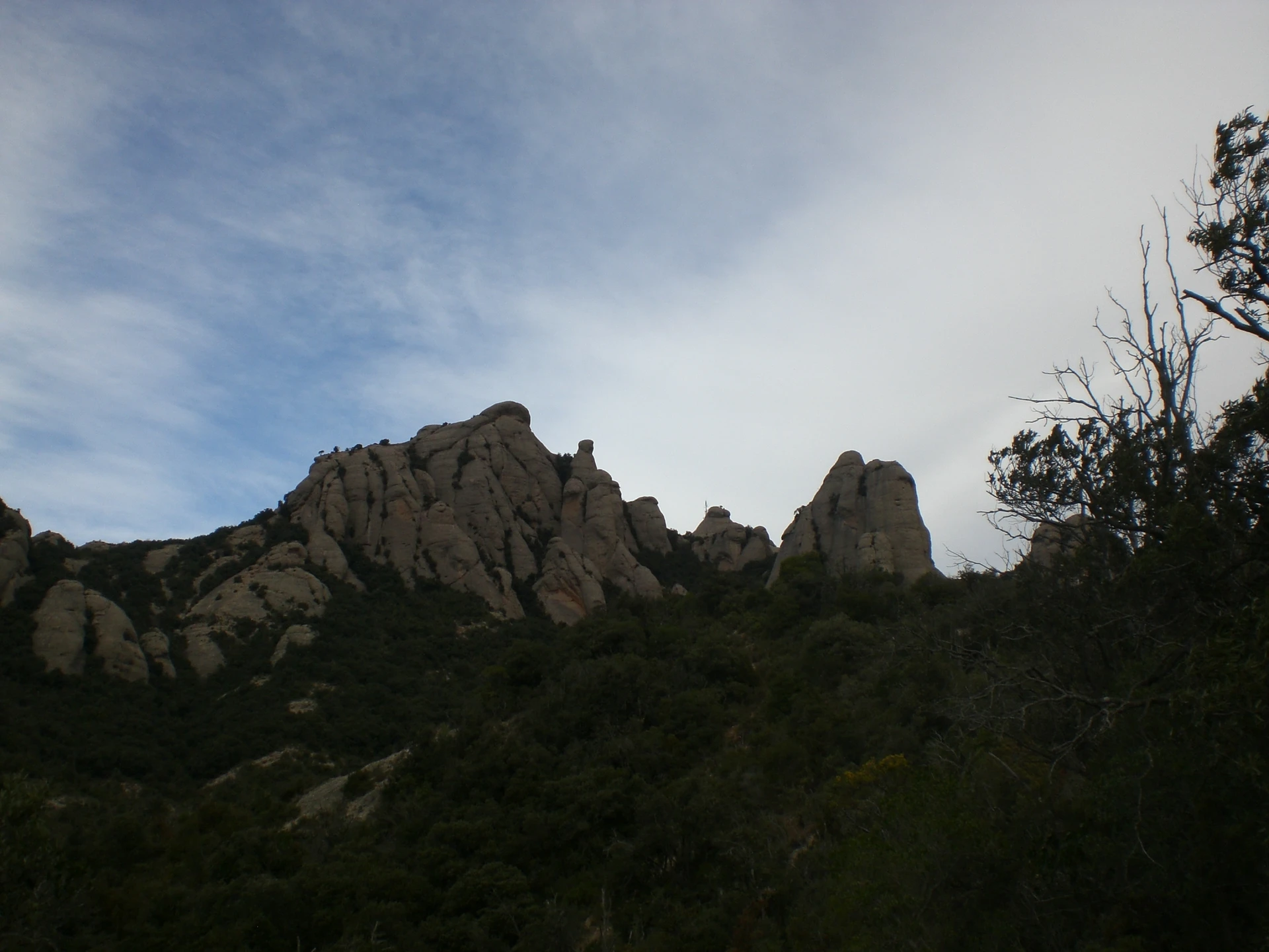 Albarda Castellana (Montserrat)