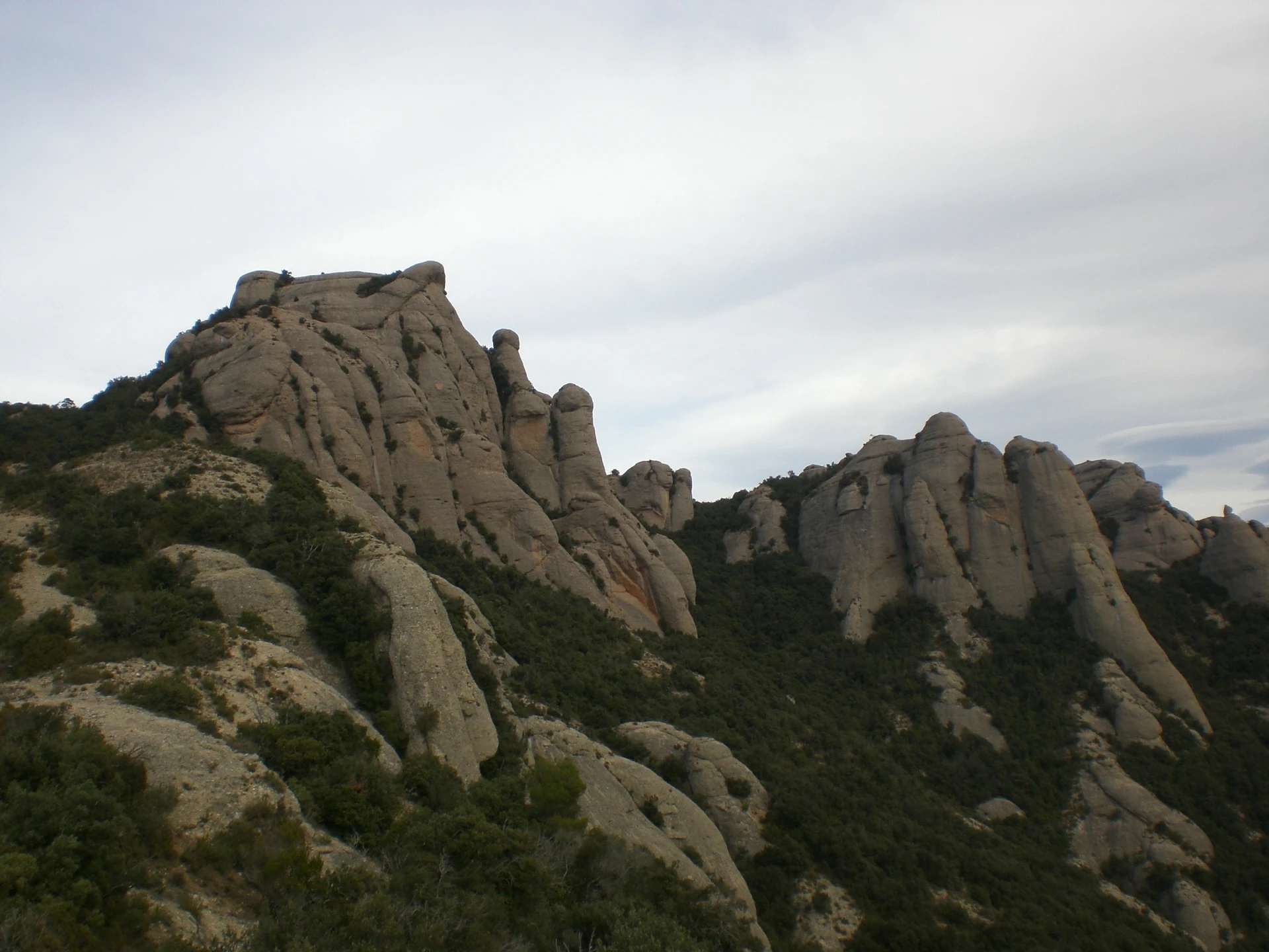 Albarda Castellana (Montserrat)