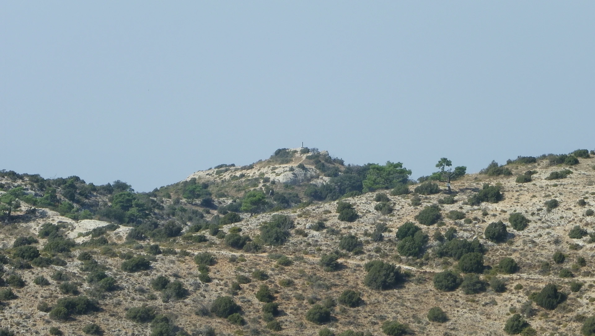 La Cogulla