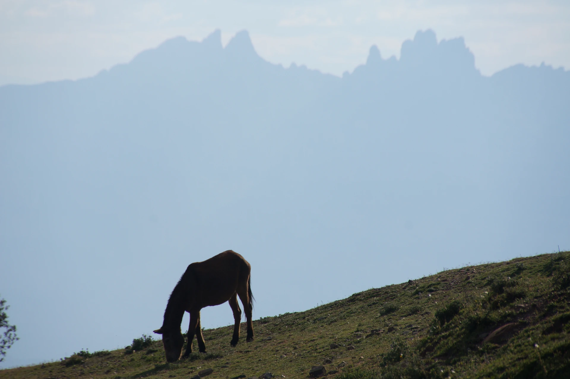DagafeSQV - This is a a photo of an emblematic summit in Catalonia, Spain, with id: