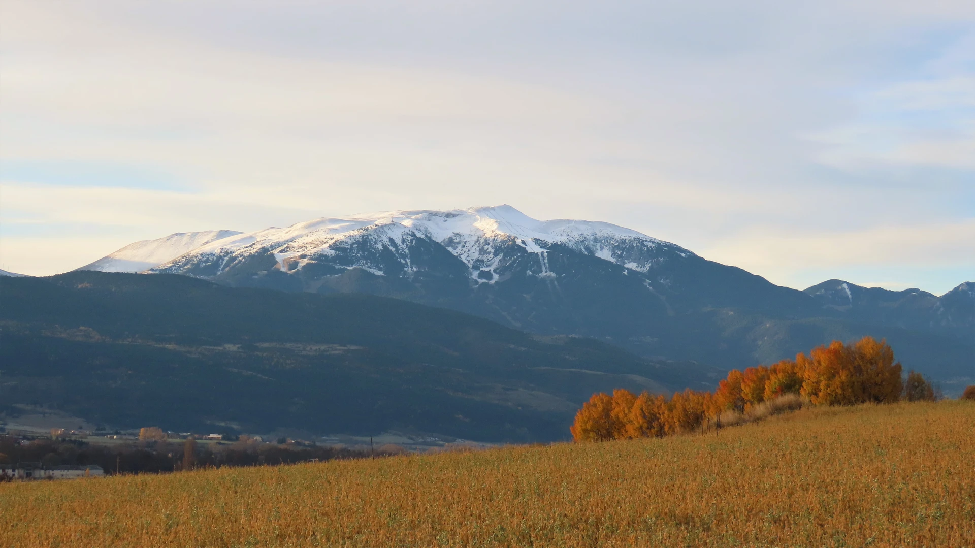 La Tosa d'Alp pel Serrat de les Pedrusques i Serrat Gran (Cavalls del Vent)