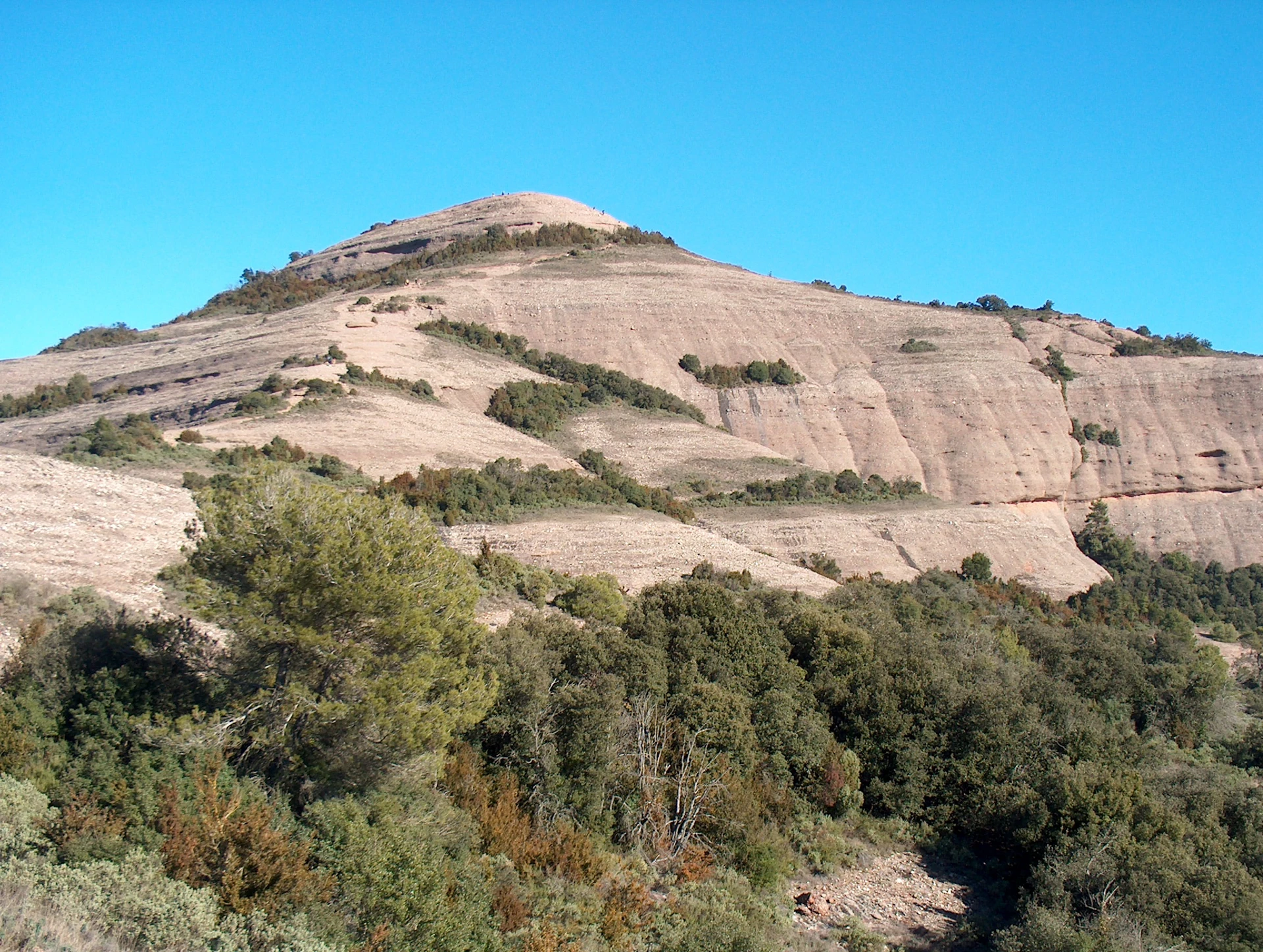 Mura - Coll d'Estenalles - Montcau - La Mola