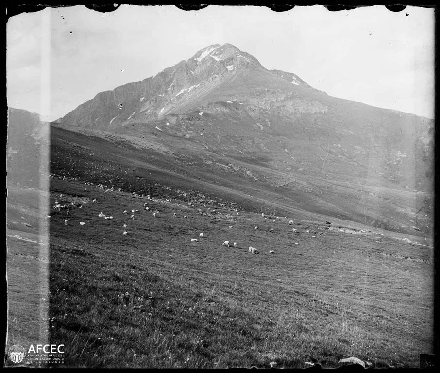 Montsent de Pallars Clàssica