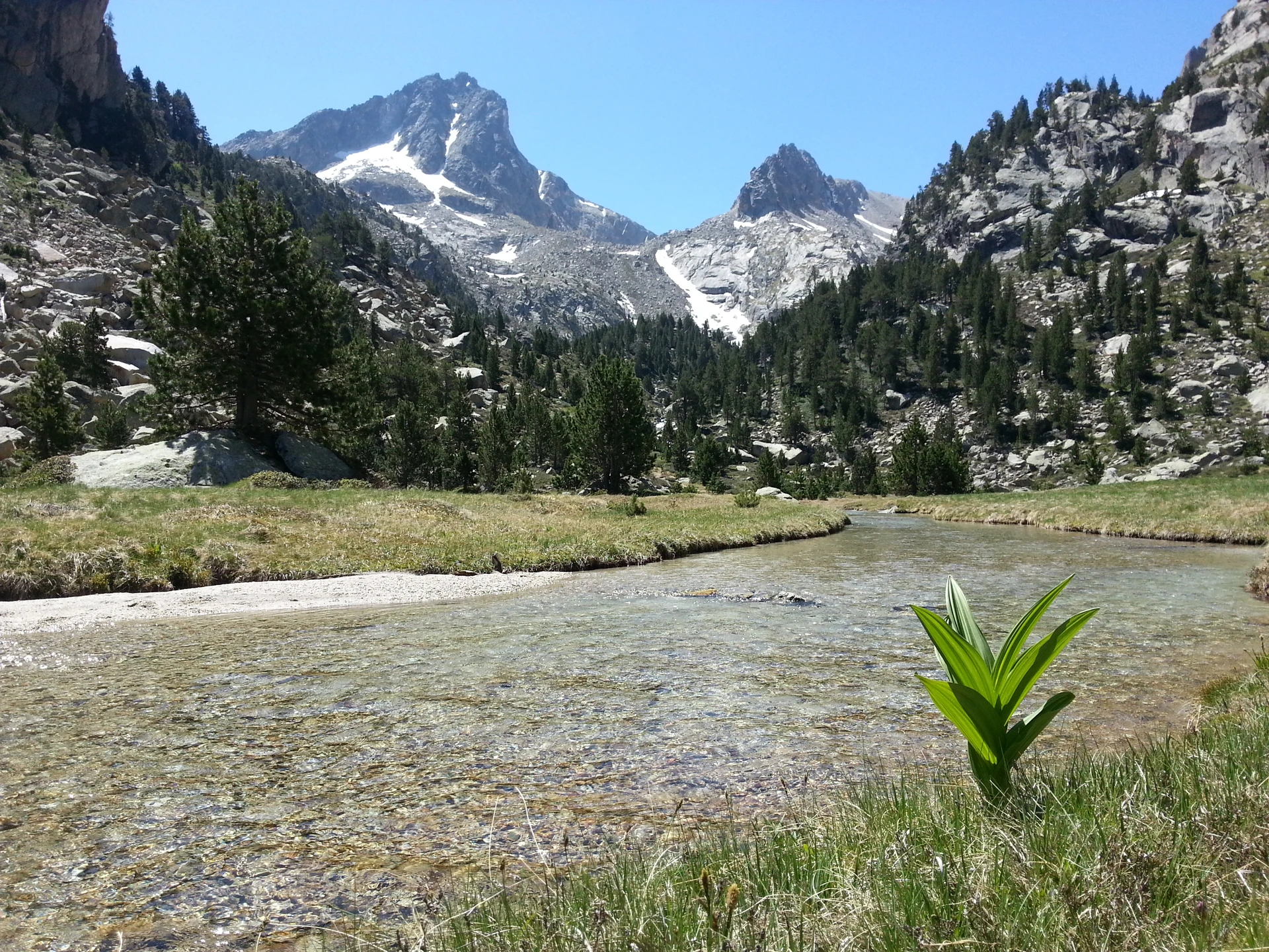 Sallente-Pic de Peguera-Refugi de Colomina
