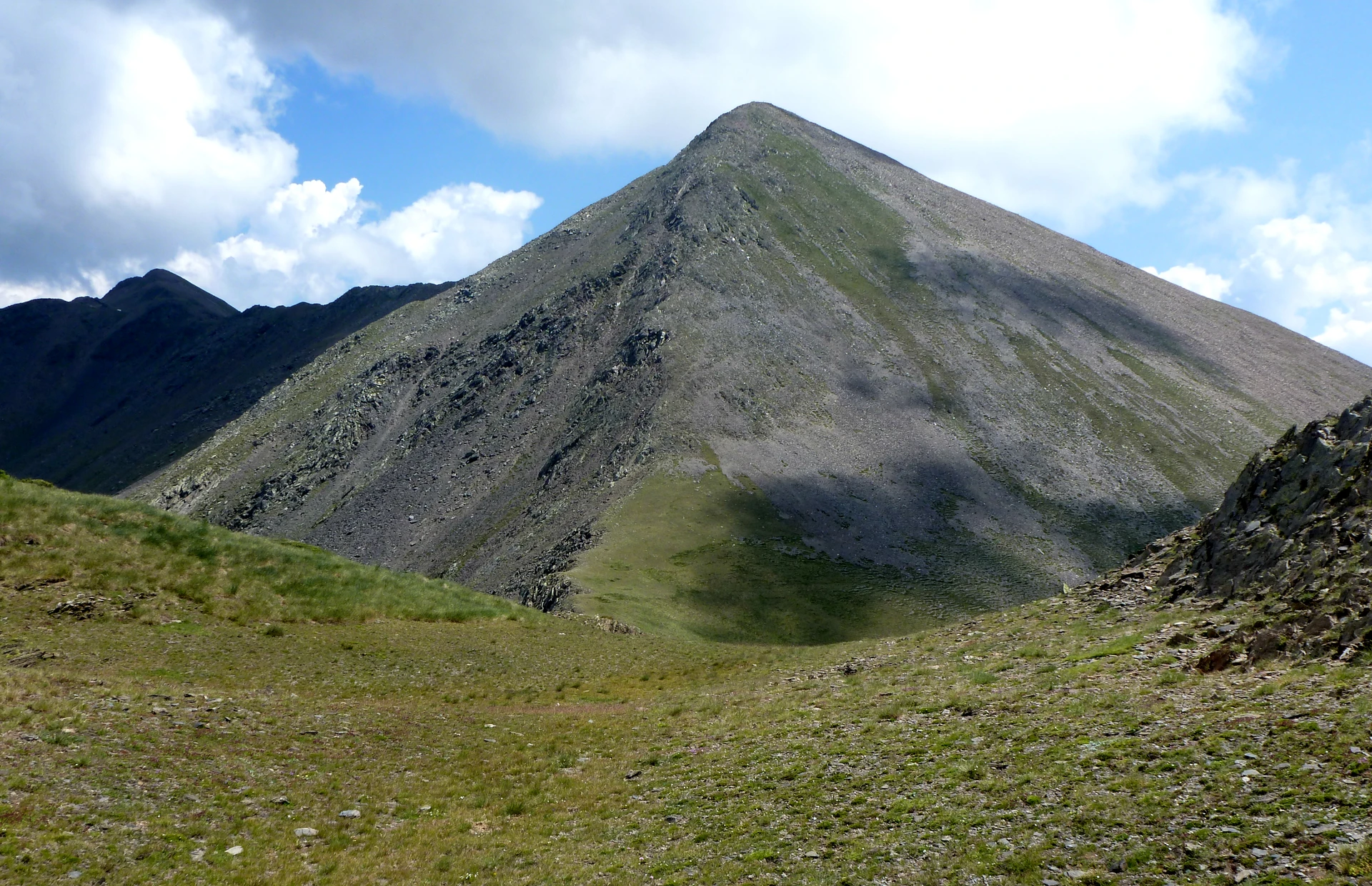 Pic de salòria - Borda de la Plana