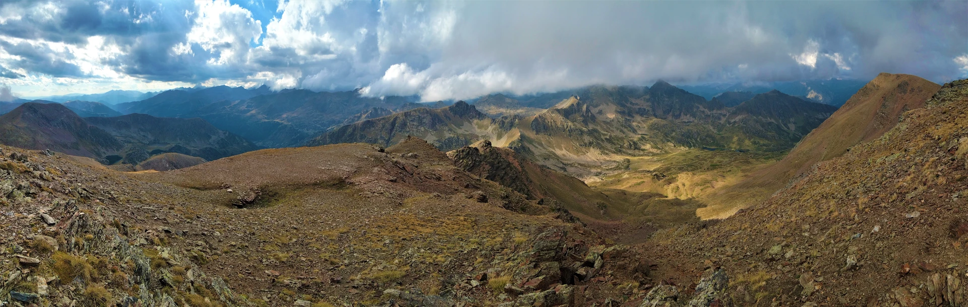 Pic de salòria - Borda de la Plana