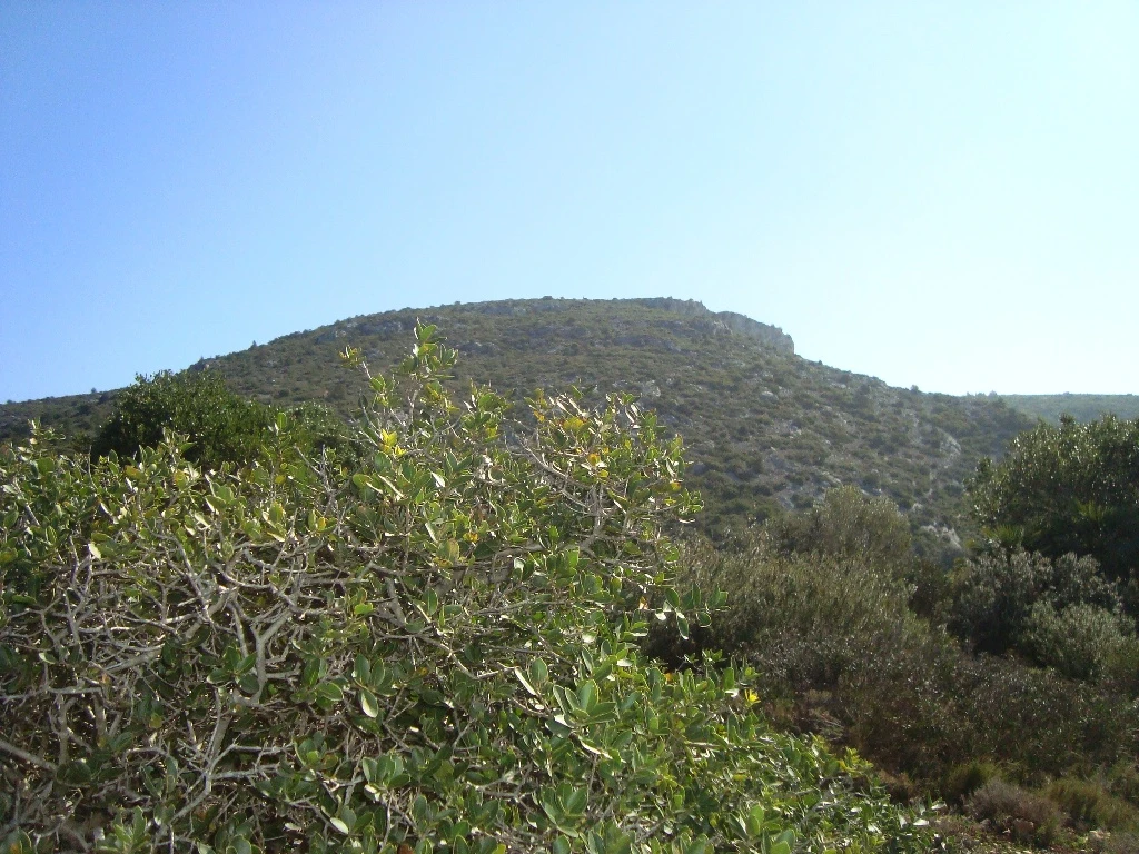 Puig de la Mola des de Can Grau