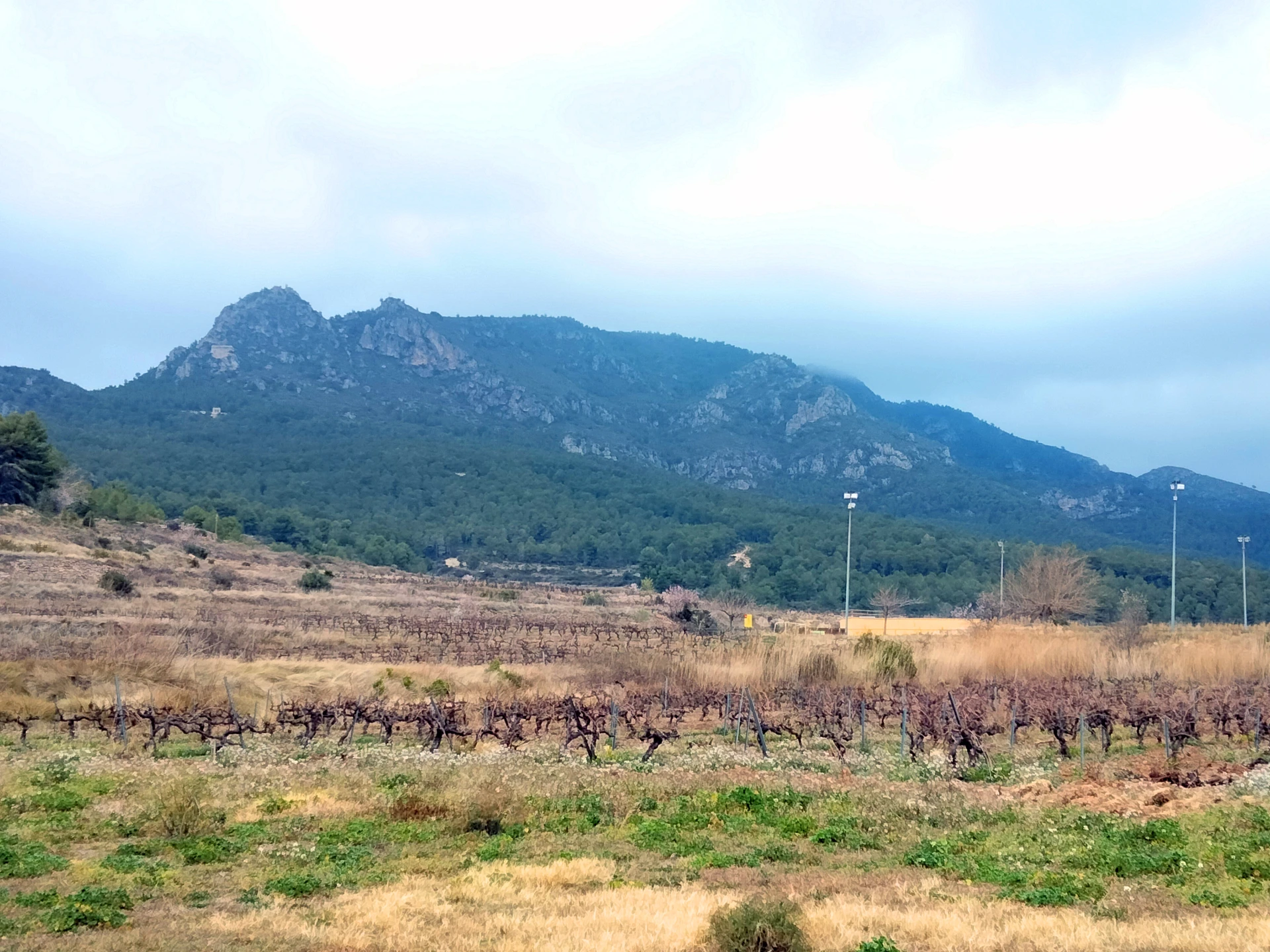 Montmell - Creu cap de la Serra - Talaia del Montmell