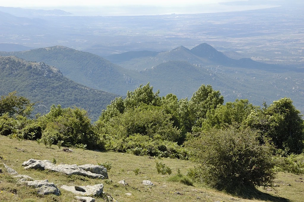 Puig Neulós i propers