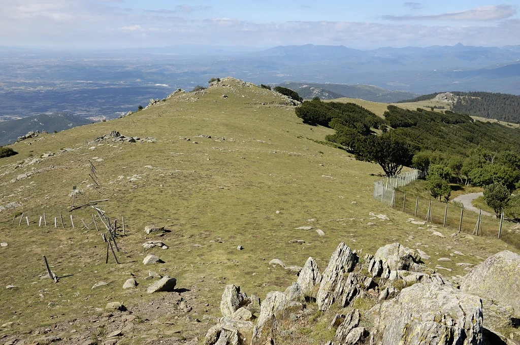Puig Neulós i propers