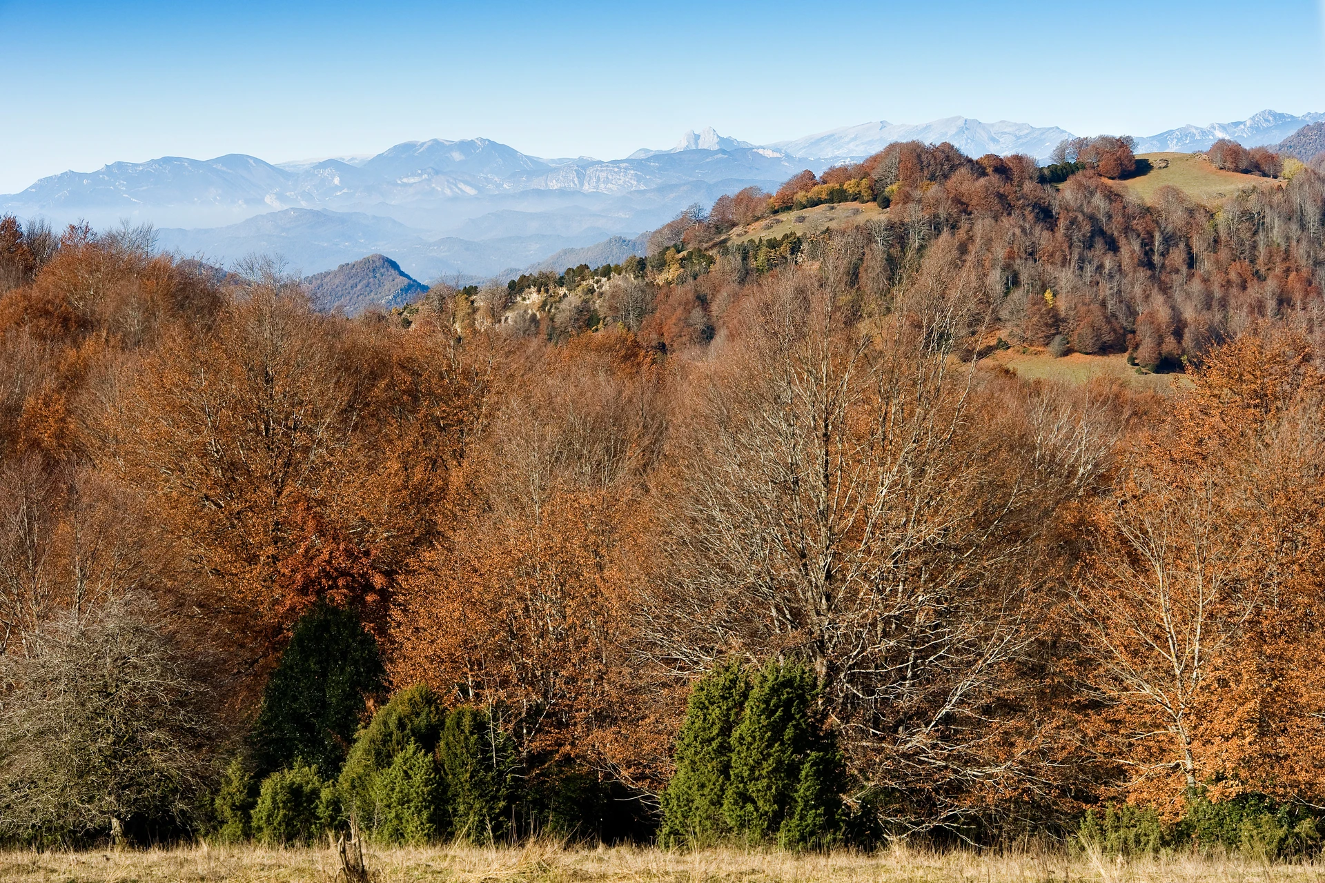 Puigscalm pel Torrent de Clivillers