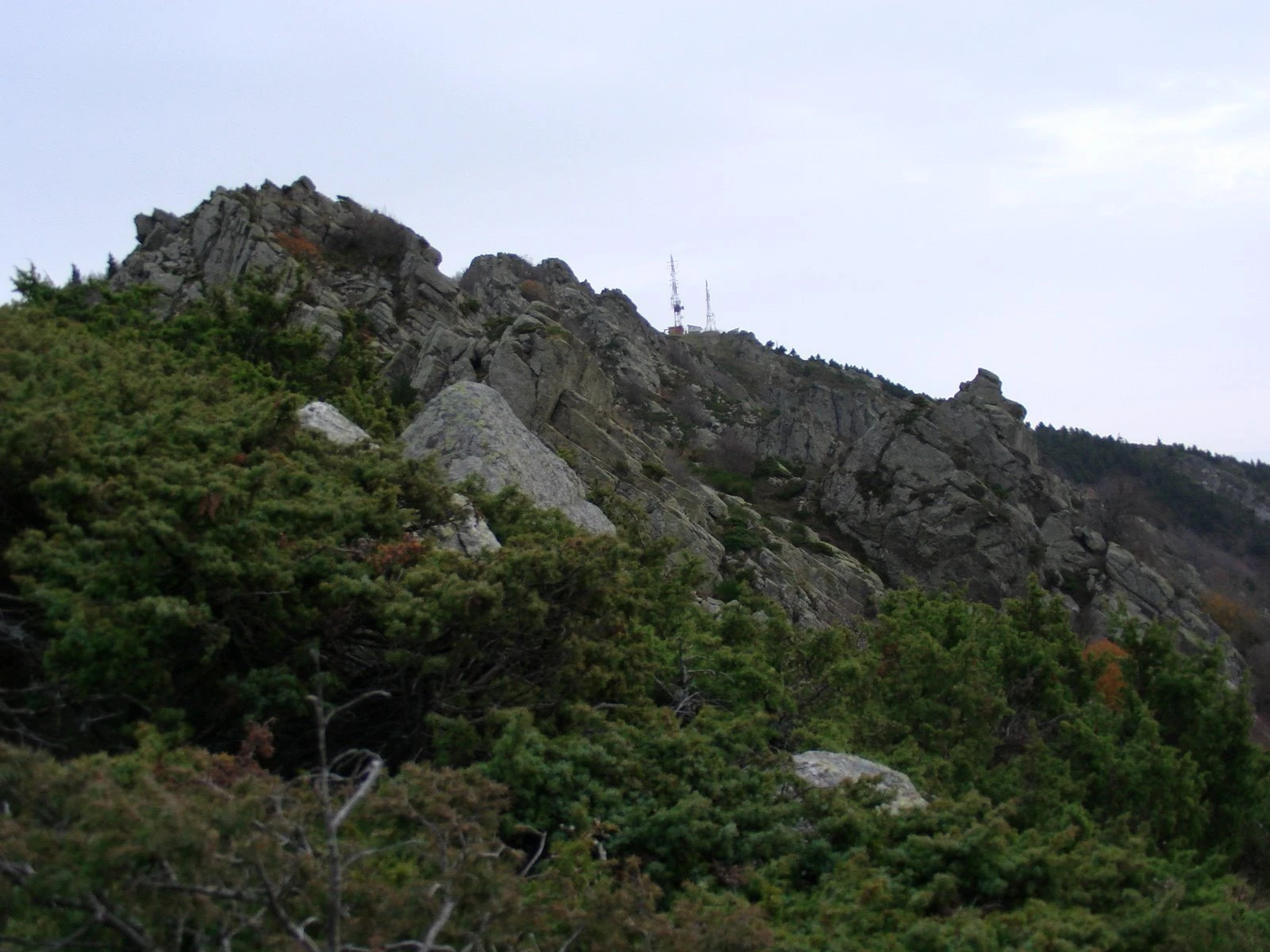 Maçanet de Cabrenys - Roc de Frausa (Comptador)