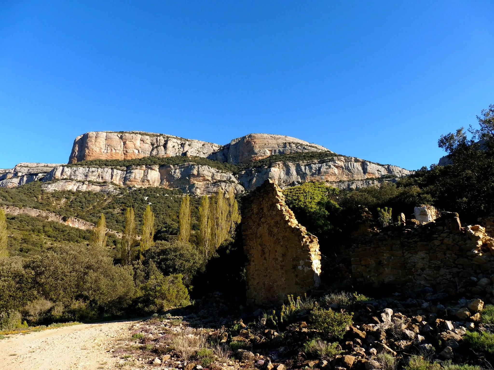 Roca Alta