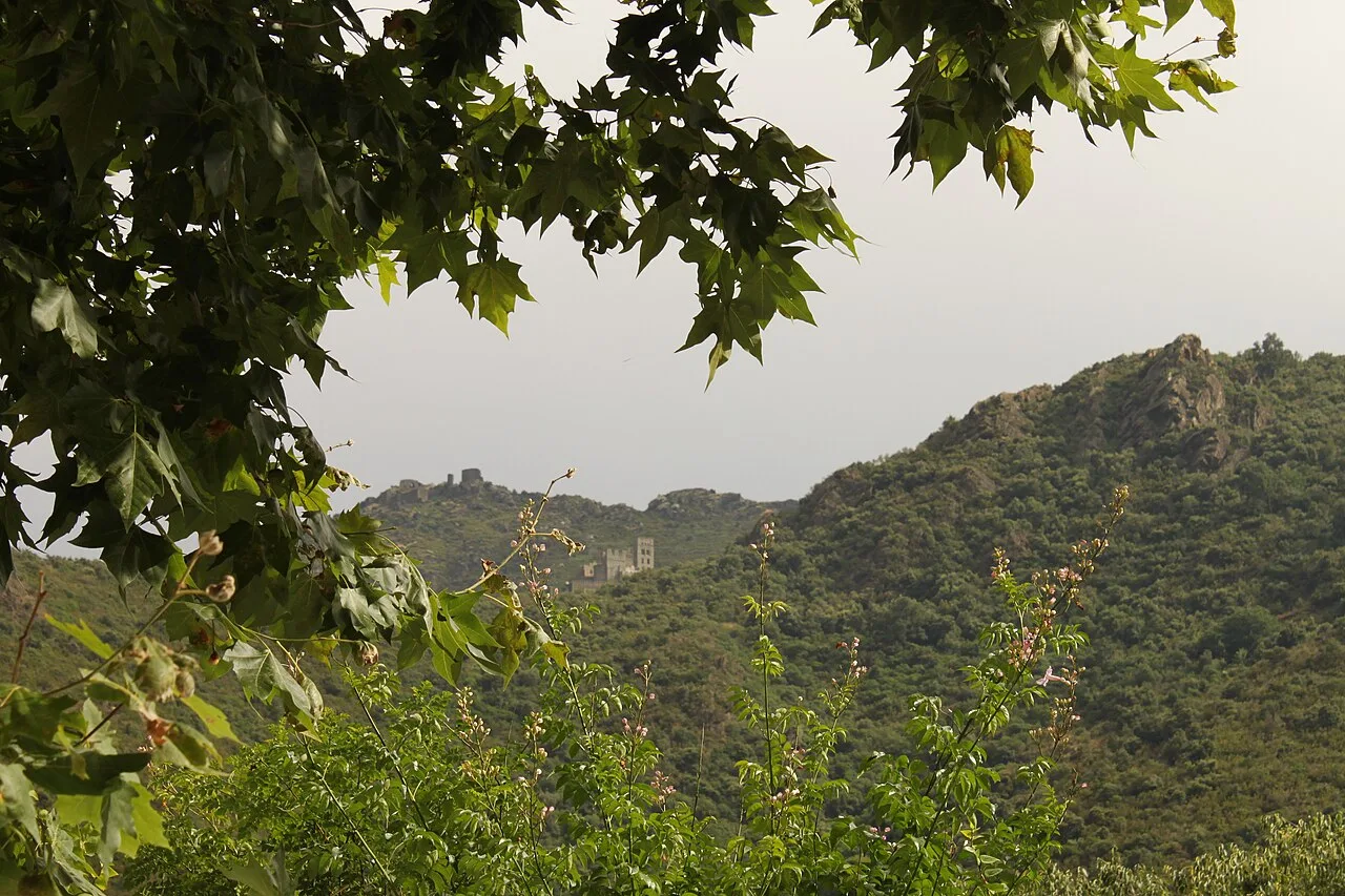 Cutspr - Serra de Rodes VallSantaCreu