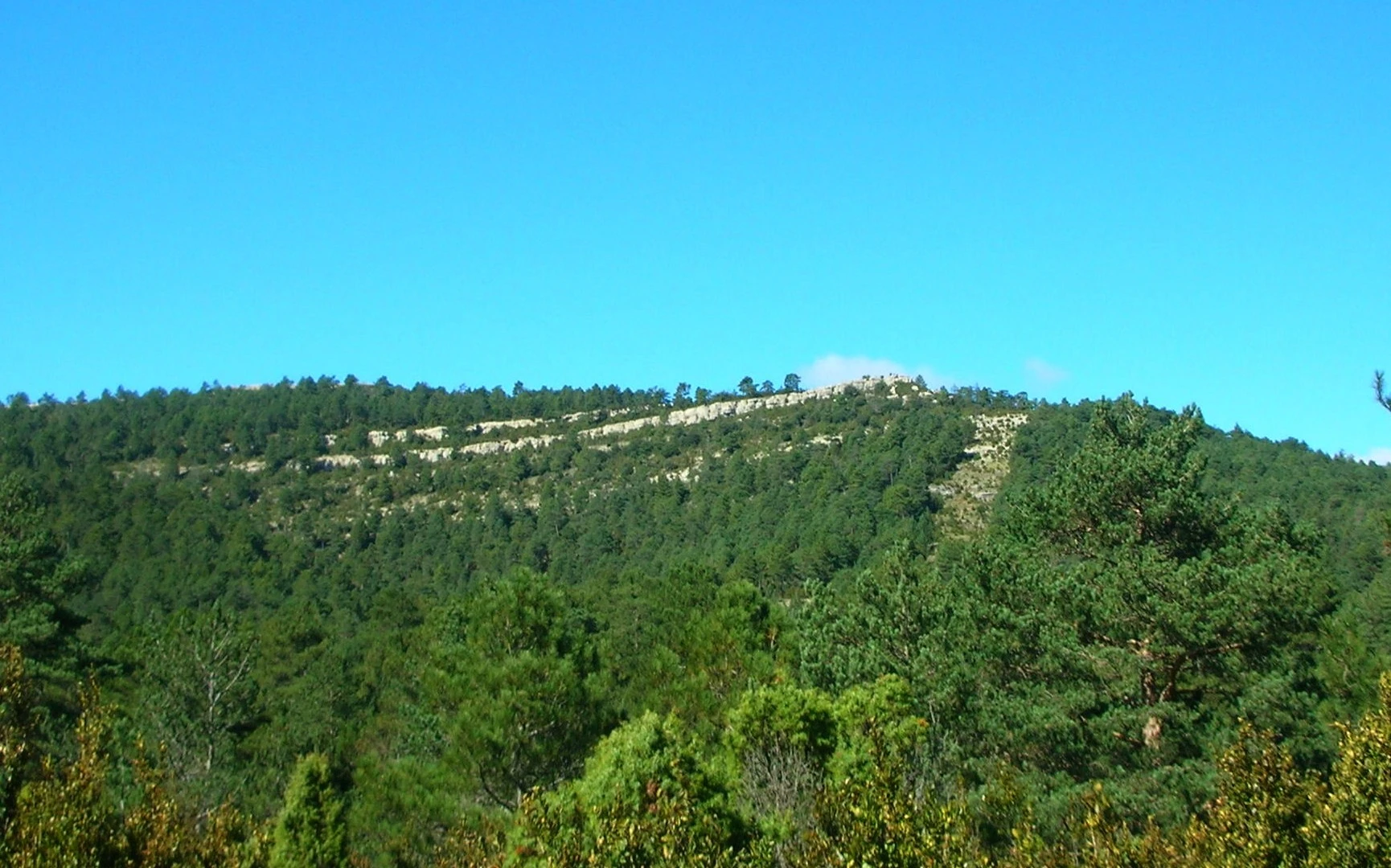 Tossal del Rei